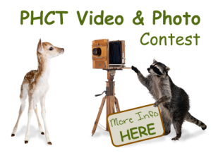 Pat Harrison Camp Trail Video Photo Contest